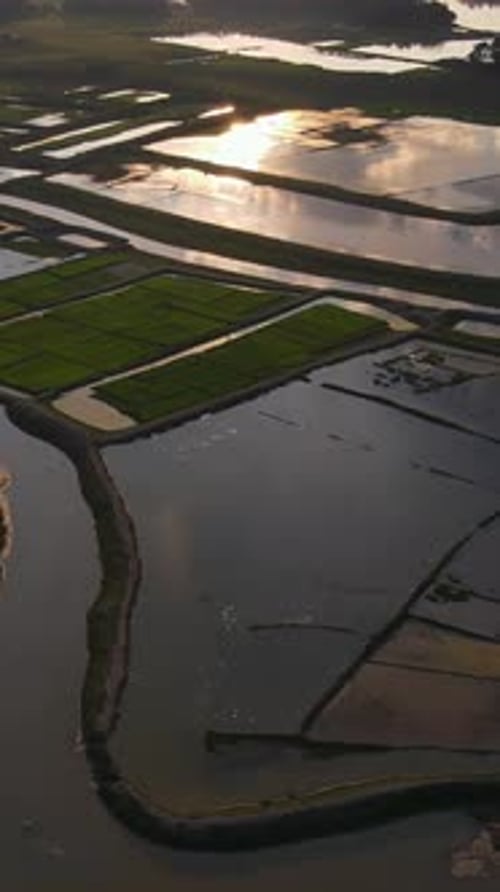 Vue aérienne : Paysage d'une zone humide agricole de la région de Haor dans un village asiatique - prise de vue verticale par Drone.