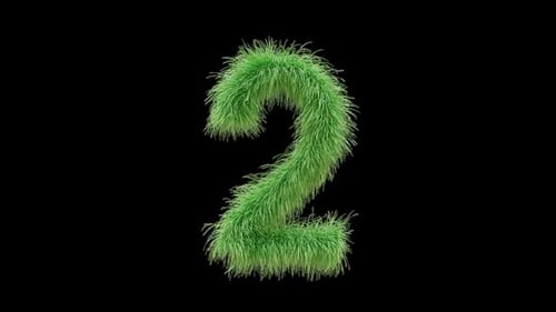 Fluffy Green Number Two on Black Background