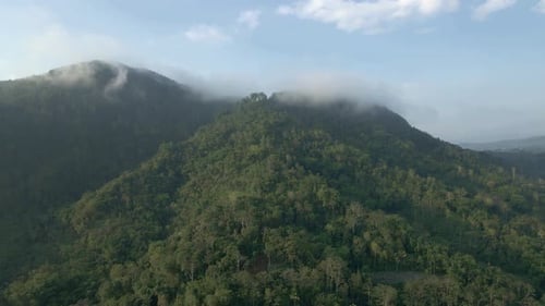 Aerial view of mountain forest in sunny day. Blue sky with fog passing through it. Tropical forest o