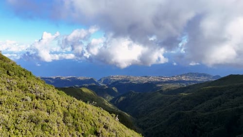 Majestic Aerial Perspective: Verdant Mountain Forests Meeting the Azure Ocean on Madeira Island, Eur