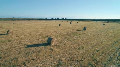 Aerial Landscape of Hay Bales Field After Harvest Agriculture Field Rural Nature in the Farm Land