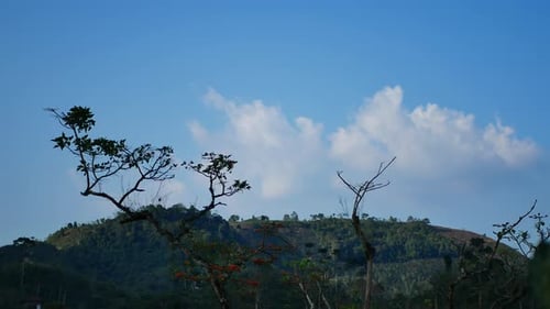 natural views of hills and mountains