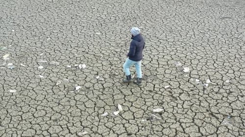 Arial shot dry lake. Aerial view man walking on the dry lake. Cracked soil.