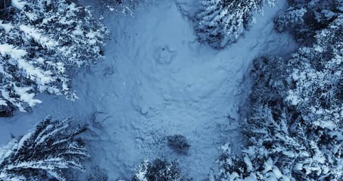 Cinematic Aerial View of Snow Covered Winter Forest Trees Landscape