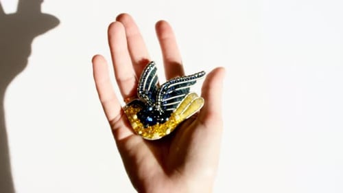 Hand Holding Fashionable Bird Brooch Close Up