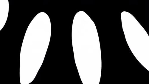 Black and White Fluid Petal Shape Reveal Transition