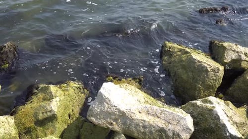 This is a short video of ocean waves, crashing onto large rocks, on sunny morning. This was filmed o