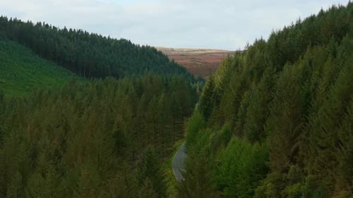 Car Driving Through Winding Forest Valley Road Surrounded By Tall Green Hills Vehicle Moving Along