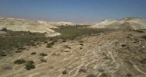 Desert flight