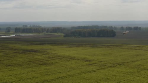 Crop Duster Sprays Sunflower Field from Above