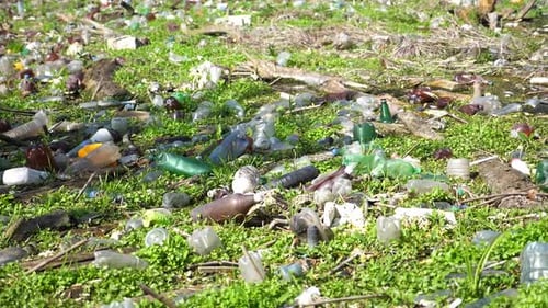 Many Plastic Bottles Lying on Green Lawn at Forest A Lot of Trash is Dumped in Open and Freely