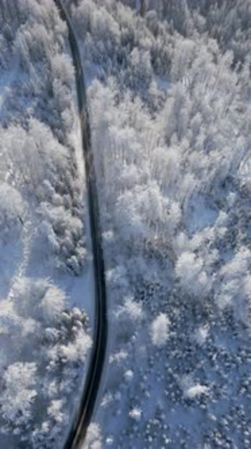 Scenic Road Through a Snowy Winter Mountain Forest