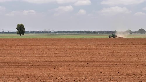 Green tractor pulls spring tine harrow toward lone tree in crop field