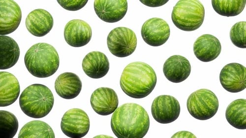 Falling Watermelons Loop on White Background