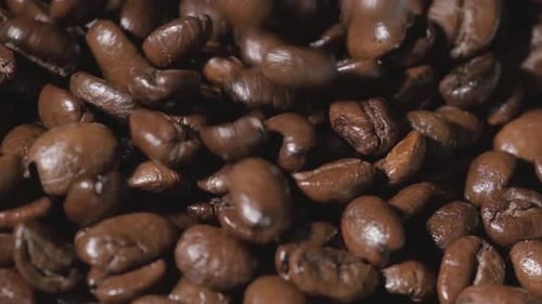 Slow motion of roasted coffee beans falling. Organic coffee seeds.