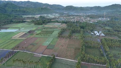 Morning atmosphere in Tempos hamlet