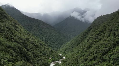 Fly up dense jungle river valley in mountains on grey rainy day, nature