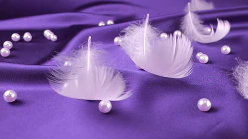 White swan feathers fall on purple silk with pearls. Slow motion.