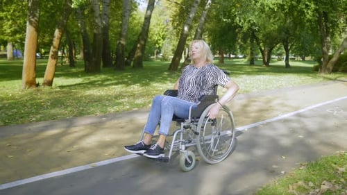 Active Happy Elderly Woman in Wheelchair Strolling in Summer Park