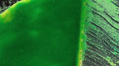A sticky green substance smears across the glass, as if on your screen, abstraction.