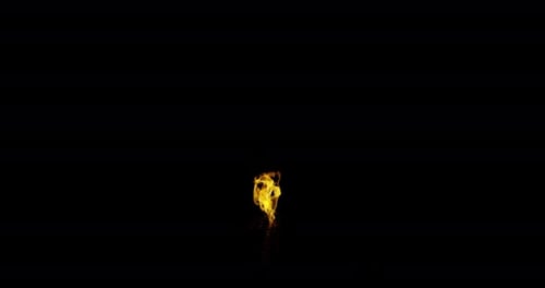 Ignite Collection: Tiny flames spew out from a crack in the ground on a dark background