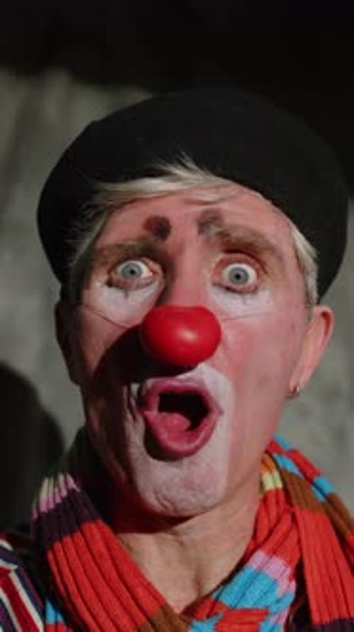 Expressive Clown Portrait with Red Nose and Beret
