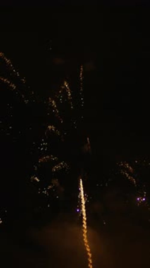 Fireworks on the sky at the Cannes Fireworks Festival at night. Vertical