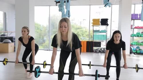 Women Lifting Weights Together at the Gym