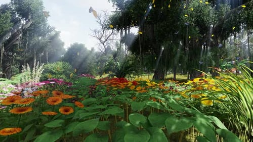 Flower garden view