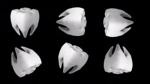 Molar Tooth Rotation Background With Seamless Loop 3D Rendering Animation. Healthy Dental Concept