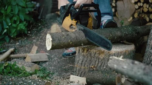Closeup of a Lumberjack Cutting a Branch with a Chainsaw
