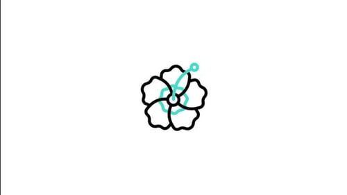 Hibiscus Animated Icon