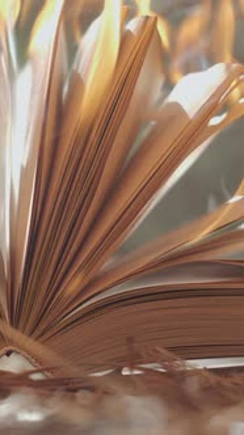 An Open Book is on Fire