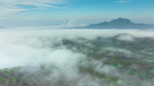 Aerial view morning scenery Mist flowing over the high mountains.