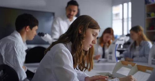 Education In High School Teens Students Viewing Entomological Collection Girl Holding Dried Beetle