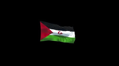 Sahrawi Arab Democratic Republic Flag Waving on Black Background