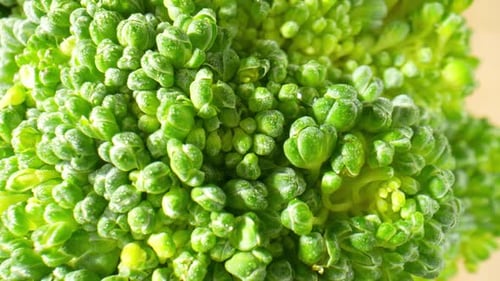 Close Up Footage of Vibrant Green Broccoli Floret
