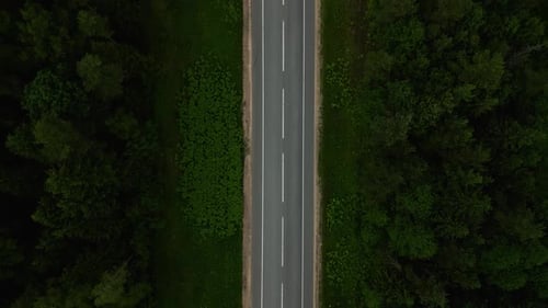 Uma perspectiva aérea hipnotizante de uma estrada serpenteando por uma densa floresta verde em áreas naturais