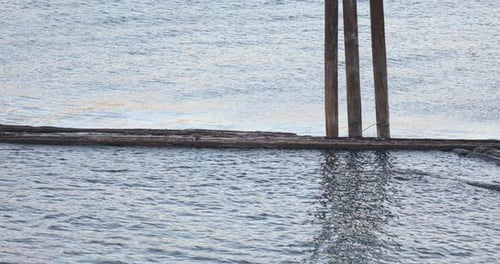 Holzschutt eines alten Stegs, der auf dem Fluss schwimmt, Wasser schimmert im Sonnenlicht