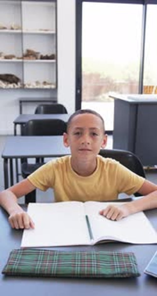 Vertical video: In school, boy raising hand while sitting at desk with open notebook