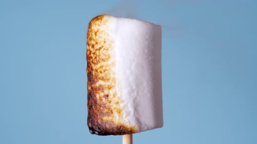Marshmallow on Stick Burning, Covered with Black Crust, Sugar Bubbling and Smoking. Close-Up