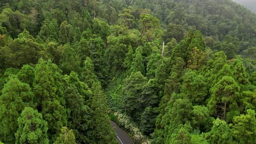 Estradas nas nuvens.