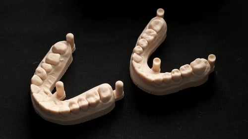 Jaws with Teeth Printed on a 3D Printer