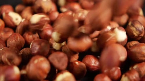 Hazelnuts in a Container on Black Background