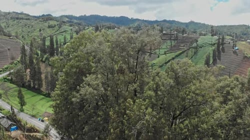 Ngadisari village located in National Park of Bromo