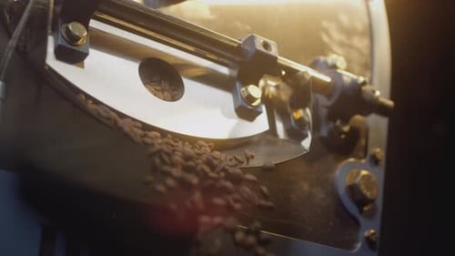Brown Arabica Coffee Beans Fall From the Roaster in the Chiller for Cooling Professional Industrial