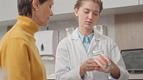 Dentist Explaining Dental Hygiene to Patient
