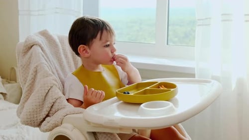 Child Eats Food at High Chair by Window