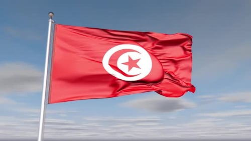 Realistic 3D Tunisia Flag Waving in the Wind