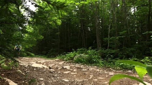 Young male adult biking on a gravel road by himself on a summer day. Mobile video, 4K 60p